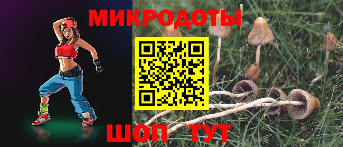 Псилоцибиновые грибы Psilocybine cubensis  Галлюциногенные грибы GOLDEN TEACHER  Кашира  Вход с VPN 