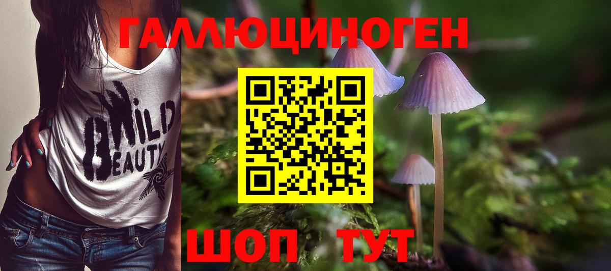 Галлюциногенные грибы прущие грибы Кашира